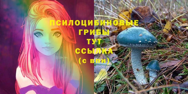 эйфоретик Алексин