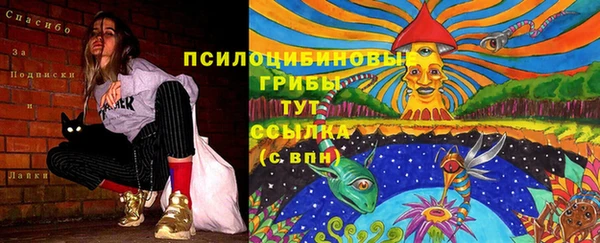 крисы Алзамай