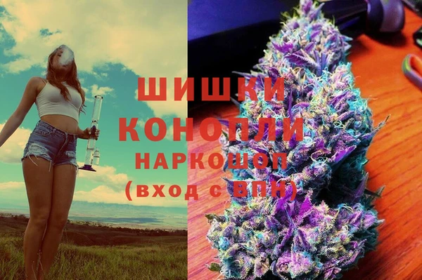 крисы Алзамай