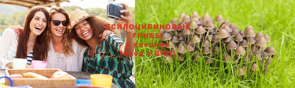 наркотики Пересвет