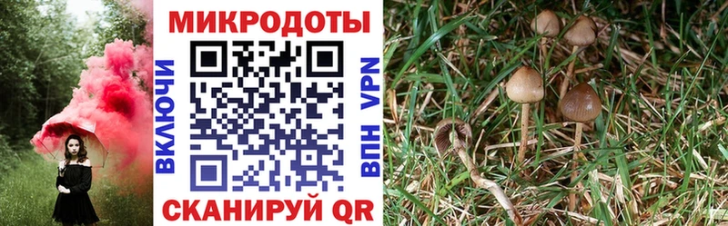 Галлюциногенные грибы Magic Shrooms  Мензелинск 